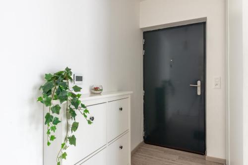 eine schwarze Tür in einem weißen Raum mit einer Pflanze in der Unterkunft Sunny Garden by Plaza - Proche Disneyland Paris in Montévrain