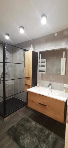 a bathroom with a sink and a shower at Ferienwohnung Moselterrasse in Zell an der Mosel