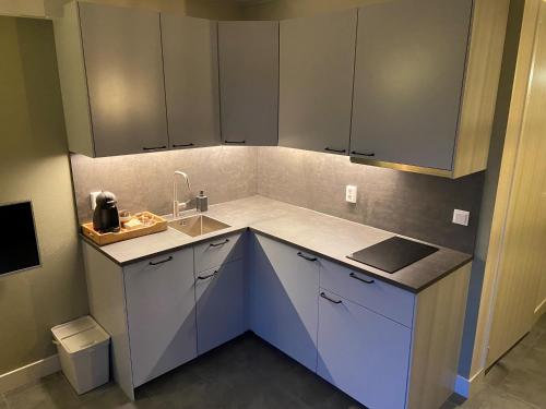 a kitchen with blue cabinets and a sink at Wolfsveld - dicht bij strand en duinen! in Castricum