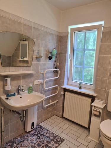 a bathroom with a sink and a toilet and a window at Das Weisse Haus Bockholt in Soltendieck