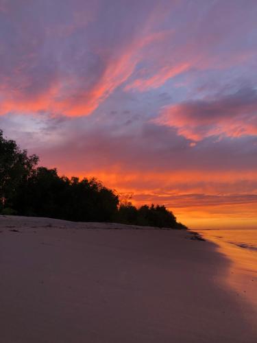 a sunset on a beach with trees in the distance at Piejūras Namiņš in Ragaciems