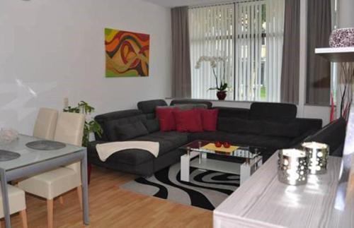 a living room with a black couch and red pillows at Appartement Romantikstadt Steyr in Steyr