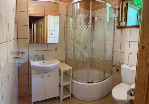 a bathroom with a shower and a sink and a toilet at Letnisko Laba in Pobierowo