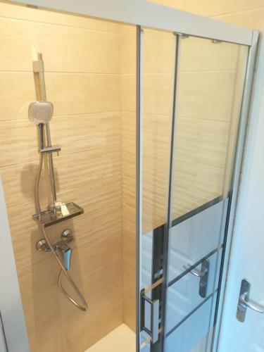une douche dans une salle de bain avec une porte vitrée dans l'établissement Le Diplomático Rouen Centre by MyFrenchPAT, à Rouen