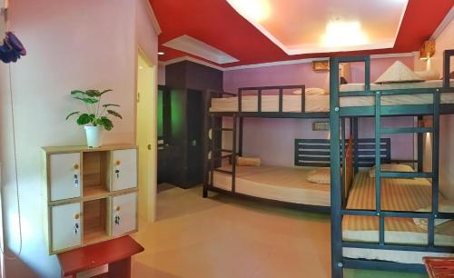 Двухъярусная кровать или двухъярусные кровати в номере Friend Seeker