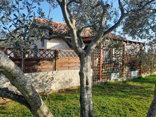 a fence in front of a house with a tree at Tiny house in Sukošan