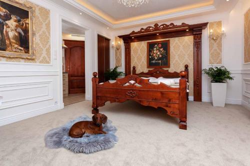 a dog laying on a rug in a bedroom at Boutique Hotel Budzak in Ždiar