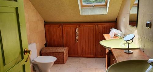 a bathroom with a sink and a toilet at Stawy Karłowo in Karłowo