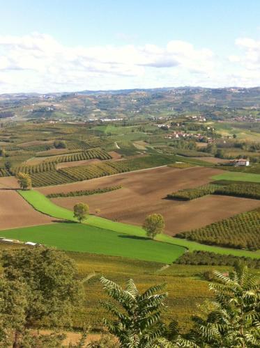 an aerial view of a green field with trees at La Vigna Del Parroco in Verduno