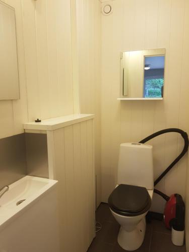 Ένα μπάνιο στο Nytt hus i lugn lantlig miljö