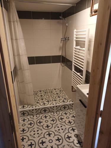 een badkamer met een douche en een wastafel bij Apartmán U Čechů in Albrechtice v Jizerských horách