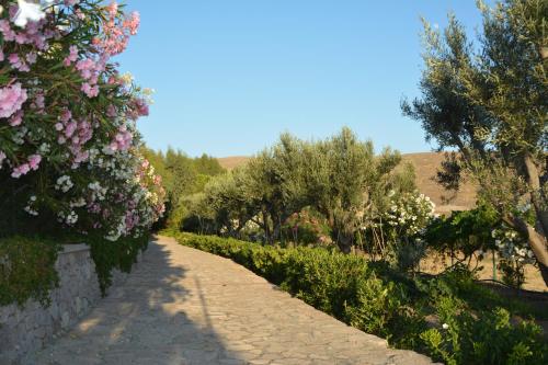 a stone path with flowers and trees on the side at Lesvos Tower House Komninos in Sígrion