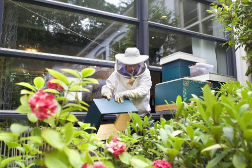a statue of a person in a garden at Stayokay Hostel Haarlem in Haarlem