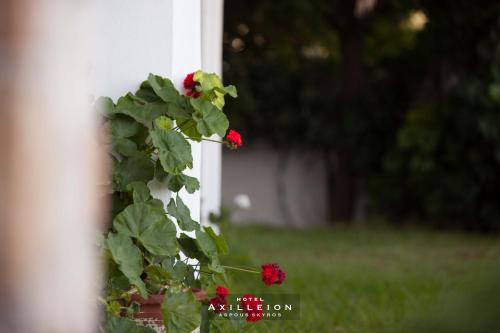 Gallery image of Achilleion Hotel in Skiros