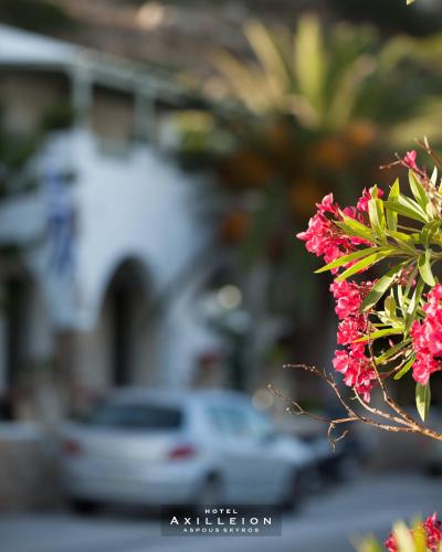 Gallery image of Achilleion Hotel in Skiros