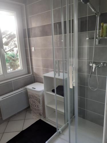 a bathroom with a shower with a glass door at T4 Front de mer Valras Plage in Valras-Plage