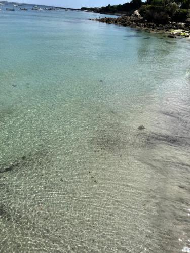 Φυσικό τοπίο κοντά σε αυτό το ξενοδοχείο