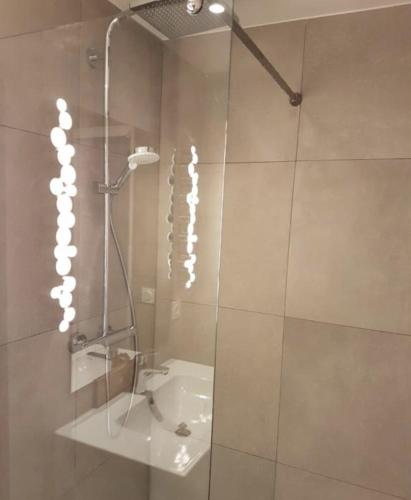 une salle de bain avec une douche avec un lavabo et une douche dans l'établissement Lac et Montagne, à Duingt