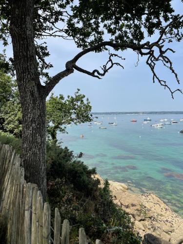 Φυσικό τοπίο κοντά σε αυτό το ξενοδοχείο