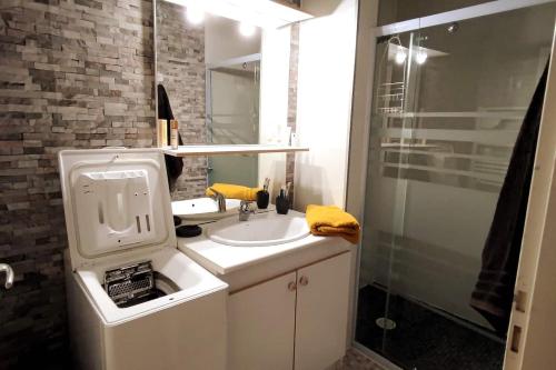 une salle de bain avec un lavabo et une douche dans l'établissement Grand appartement en RDC Vallée de Campan, à Campan