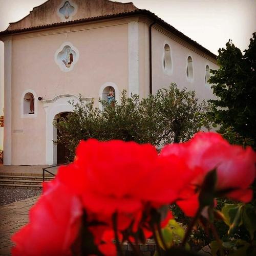 a red flower in front of a white church at Casa Vacanze " MELA " in Nova Siri