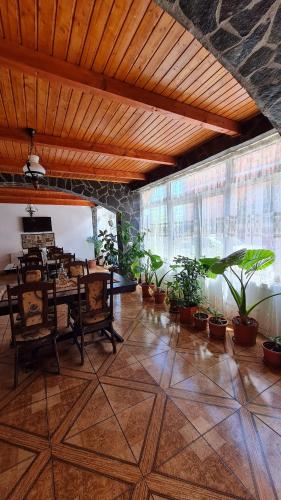 Gallery image of pensiunea Montana Sapinta in Săpînţa