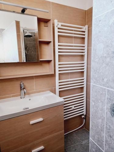 une salle de bain avec un lavabo et une douche dans l'établissement Superbe Appartement en plein centre-ville de Crépy, à Crépy-en-Valois