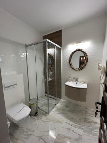 a bathroom with a shower and a toilet and a sink at Pensiunea Izora in Crisan
