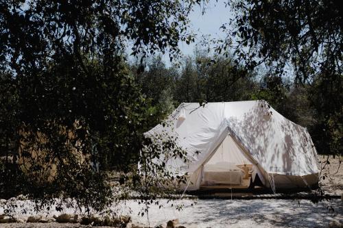 Φωτογραφία από το άλμπουμ του Glamp&Wine by Cuturi σε Manduria