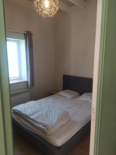 1 dormitorio con cama, ventana y lámpara de araña en Location à Argentat-sur-Dordogne en Argentat