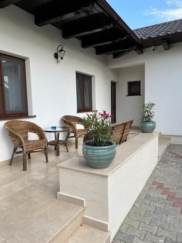 Gallery image of Pensiunea Izora in Crisan