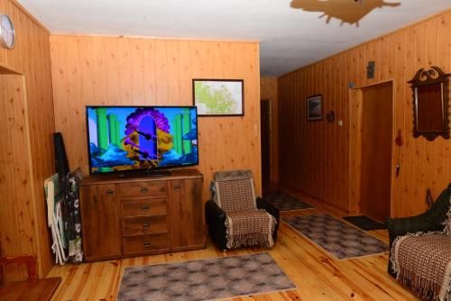 a living room with a tv on a wooden wall at Kruszyniany 41 in Kruszyniany
