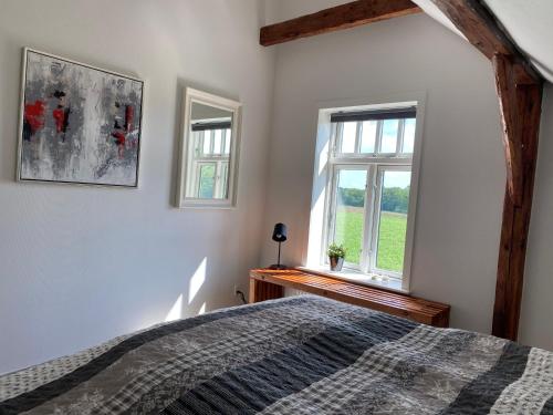 a bedroom with a bed and two windows at Hyggelig aftægtsbolig i hjertet af Sønderjylland in Branderup
