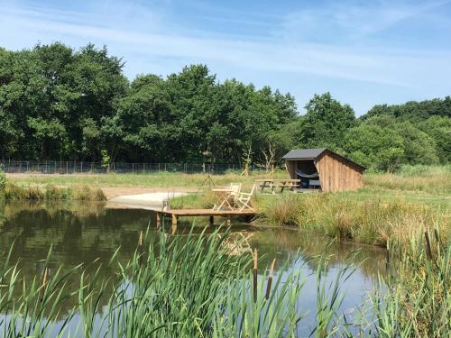 a small wooden shack next to a lake at Hyggelig aftægtsbolig i hjertet af Sønderjylland in Branderup
