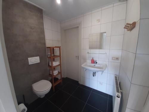 uma casa de banho com um WC e um lavatório em BergOpwaerts em Sint Odiliënberg
