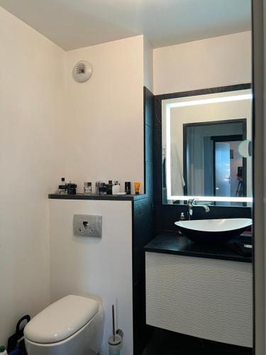 ein Badezimmer mit einem Waschbecken, einem WC und einem Spiegel in der Unterkunft Les jardins de jade Disney in Ferrières-en-Brie
