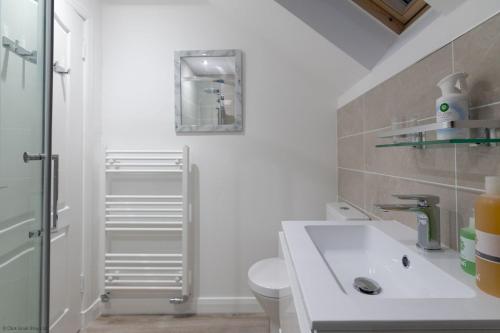 a bathroom with a sink and a toilet at Stoney Creek Cottage in Crail