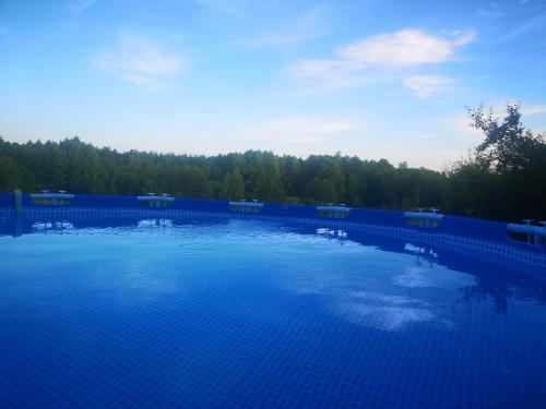 a large pool of blue water with trees in the background at Klarysewo in Mrągowo