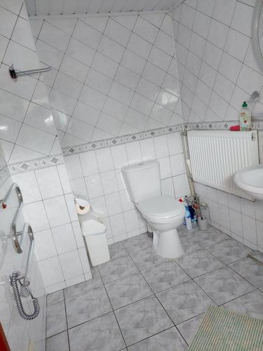 a bathroom with a toilet and a sink at Pas Birutę in Palanga