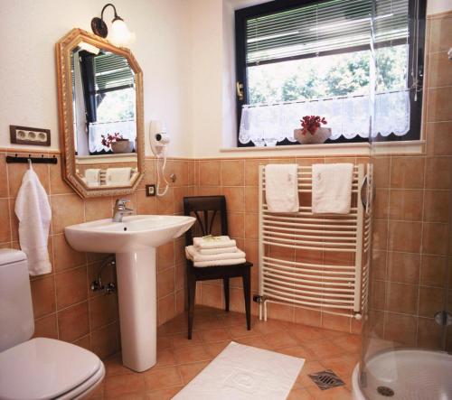 a bathroom with a sink and a toilet and a mirror at Apartments Bledea in Bled