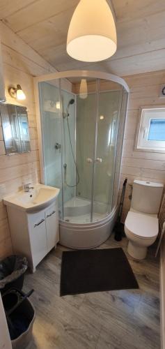 a bathroom with a shower and a toilet and a sink at Dębina Domki Jałowcowa 8 in Debina