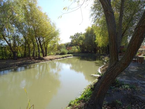 a river with a tree in the foreground at Guesthouse Ilona in Veľký Kamenec