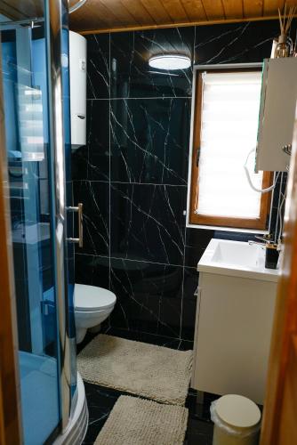 a bathroom with a toilet and a sink at Zagroda Nad Kotelnią in Pawłowa