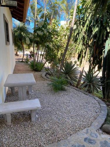 Κήπος έξω από το Beautiful Loft! Walk from the beach!