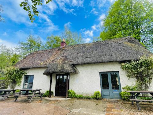 a cottage with a thatched roof with two benches at Lusty Beg Island in Kesh