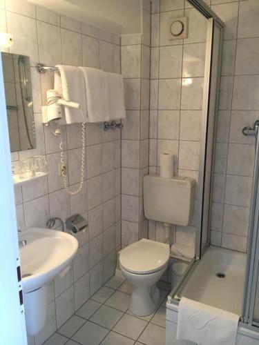 a bathroom with a toilet and a sink at Hotel und Restaurant -Gasthaus Zur Pfalz in Hockenheim