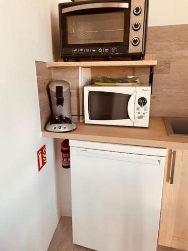 un four micro-ondes installé au-dessus d'un comptoir de cuisine dans l'établissement Superbe appartement à la croisée des 4 Châteaux, à Lignières-de-Touraine