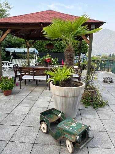 Κήπος έξω από το Casa Mimosa