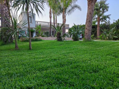 un prato con palme e una casa sullo sfondo di B&B Villa Fanizza a Porto Cesareo