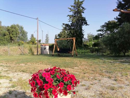a pot of red flowers in a yard with a swing at EPavli Xenia Pefkochori-Paliouri 30m in Paliouri